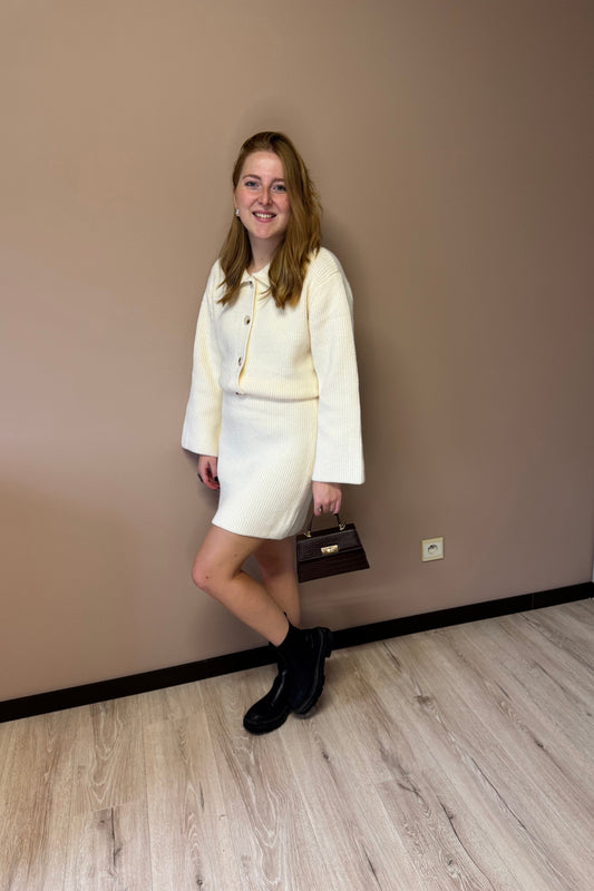 Blair skirt beige