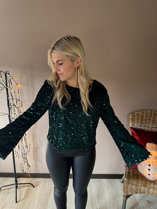 Glitter velvet top